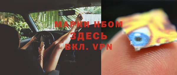 прущий лед Карпинск
