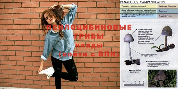 мдма Карталы